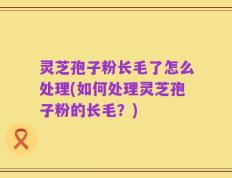 灵芝孢子粉长毛了怎么处理(如何处理灵芝孢子粉的长毛？)