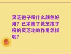 灵芝孢子粉什么颜色好用？已采集了灵芝孢子粉的灵芝功效作用怎样呢？