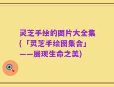 灵芝手绘的图片大全集(「灵芝手绘图集合」——展现生命之美)