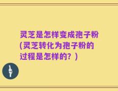 灵芝是怎样变成孢子粉(灵芝转化为孢子粉的过程是怎样的？)