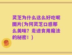 灵芝为什么这么好吃呢图片(为何灵芝口感那么美味？走进食用魔法的秘密！)