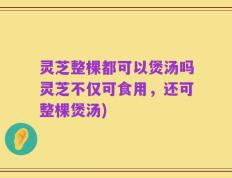 灵芝整棵都可以煲汤吗灵芝不仅可食用，还可整棵煲汤)