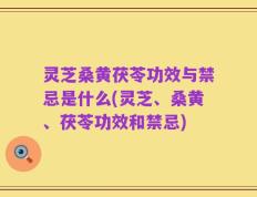 灵芝桑黄茯苓功效与禁忌是什么(灵芝、桑黄、茯苓功效和禁忌)