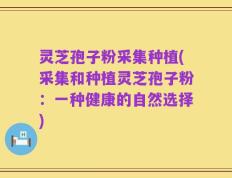 灵芝孢子粉采集种植(采集和种植灵芝孢子粉：一种健康的自然选择)
