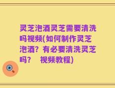 灵芝泡酒灵芝需要清洗吗视频(如何制作灵芝泡酒？有必要清洗灵芝吗？  视频教程)
