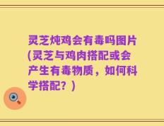 灵芝炖鸡会有毒吗图片(灵芝与鸡肉搭配或会产生有毒物质，如何科学搭配？)