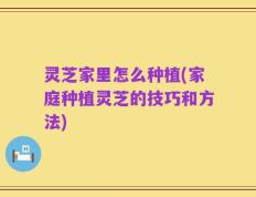 灵芝家里怎么种植(家庭种植灵芝的技巧和方法)