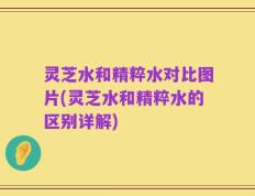 灵芝水和精粹水对比图片(灵芝水和精粹水的区别详解)