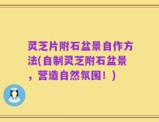 灵芝片附石盆景自作方法(自制灵芝附石盆景，营造自然氛围！)