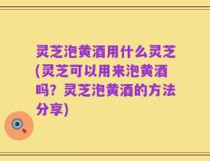 灵芝泡黄酒用什么灵芝(灵芝可以用来泡黄酒吗？灵芝泡黄酒的方法分享)