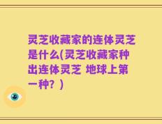 灵芝收藏家的连体灵芝是什么(灵芝收藏家种出连体灵芝 地球上第一种？)