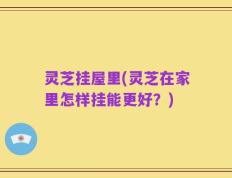 灵芝挂屋里(灵芝在家里怎样挂能更好？)