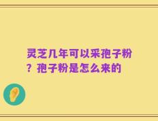 灵芝几年可以采孢子粉？孢子粉是怎么来的