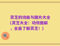 灵芝的功能与图片大全(灵芝大全：功效图解，全面了解灵芝！)