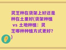 灵芝种在货架上好还是种在土里好(货架种植 vs 土地种植：灵芝哪种种植方式更好？)