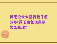 灵芝没长大就转色了怎么办(灵芝褪色现象该怎么处理？