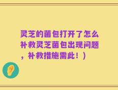 灵芝的菌包打开了怎么补救灵芝菌包出现问题，补救措施需此！)