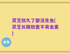 灵芝放久了都没生虫(灵芝长期放置不易虫害)