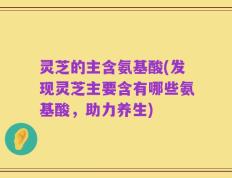 灵芝的主含氨基酸(发现灵芝主要含有哪些氨基酸，助力养生)