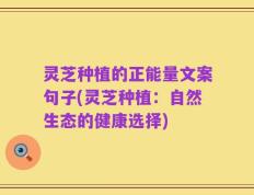 灵芝种植的正能量文案句子(灵芝种植：自然生态的健康选择)