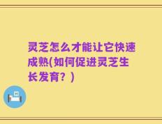 灵芝怎么才能让它快速成熟(如何促进灵芝生长发育？)