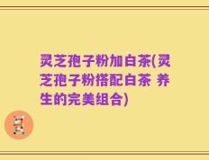 灵芝孢子粉加白茶(灵芝孢子粉搭配白茶 养生的完美组合)