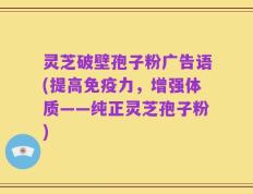 灵芝破壁孢子粉广告语(提高免疫力，增强体质——纯正灵芝孢子粉)