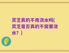 灵芝真的不用浇水吗(灵芝是否真的不需要浇水？)