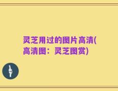 灵芝用过的图片高清(高清图：灵芝图赏)
