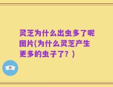 灵芝为什么出虫多了呢图片(为什么灵芝产生更多的虫子了？)