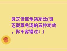 灵芝煲草龟汤功效(灵芝煲草龟汤的五种功效，你不容错过！)