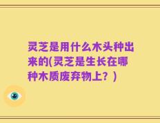 灵芝是用什么木头种出来的(灵芝是生长在哪种木质废弃物上？)