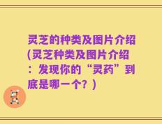 灵芝的种类及图片介绍(灵芝种类及图片介绍：发现你的“灵药”到底是哪一个？)