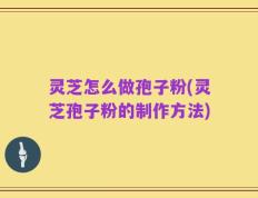灵芝怎么做孢子粉(灵芝孢子粉的制作方法)