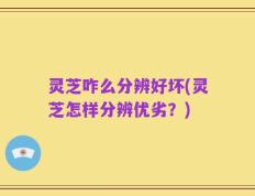 灵芝咋么分辨好坏(灵芝怎样分辨优劣？)