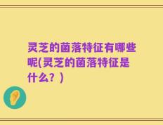 灵芝的菌落特征有哪些呢(灵芝的菌落特征是什么？)