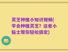灵芝种植小知识视频(学会种植灵芝？这些小贴士帮你轻松搞定)