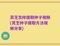 灵芝怎样提取种子视频(灵芝种子提取方法视频分享)