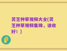 灵芝种草视频大全(灵芝种草视频集锦，请收好！)