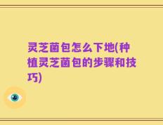 灵芝菌包怎么下地(种植灵芝菌包的步骤和技巧)