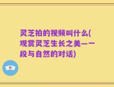 灵芝拍的视频叫什么(观赏灵芝生长之美—一段与自然的对话)