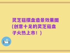 灵芝菇摆盘造景效果图(创意十足的灵芝菇盘子火热上市！)