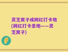 灵芝窝子成网红打卡地(网红打卡圣地——灵芝窝子)