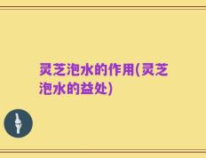 灵芝泡水的作用(灵芝泡水的益处)