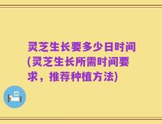 灵芝生长要多少日时间(灵芝生长所需时间要求，推荐种植方法)