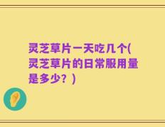 灵芝草片一天吃几个(灵芝草片的日常服用量是多少？)