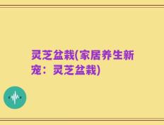 灵芝盆栽(家居养生新宠：灵芝盆栽)