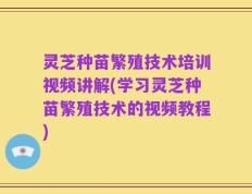 灵芝种苗繁殖技术培训视频讲解(学习灵芝种苗繁殖技术的视频教程)