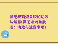灵芝老鸡炖鱼胶的功效与禁忌(灵芝老鸡鱼胶汤：功效与注意事项)