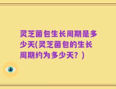 灵芝菌包生长周期是多少天(灵芝菌包的生长周期约为多少天？)